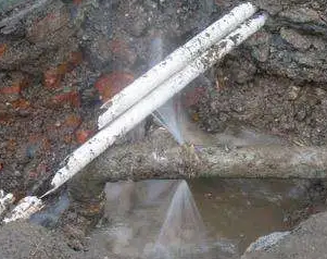 巴宜水管维修费用是多少