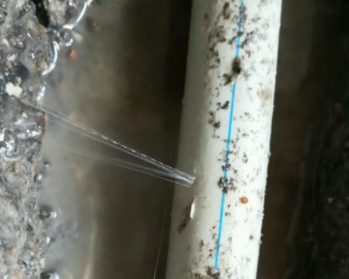 巴宜卫生间测漏水多少钱