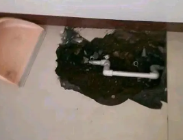 巴宜卫生间测漏水多少钱